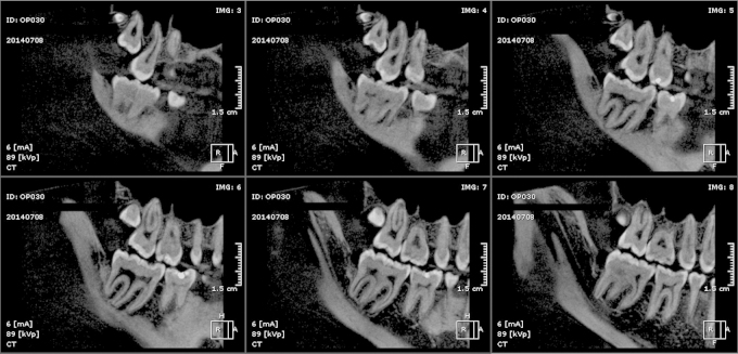 Fig. 8