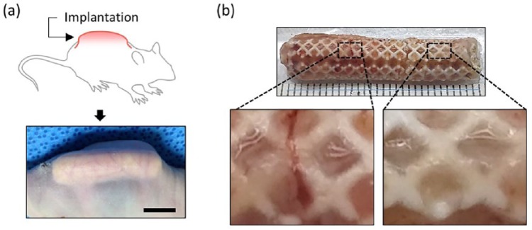 Figure 5.