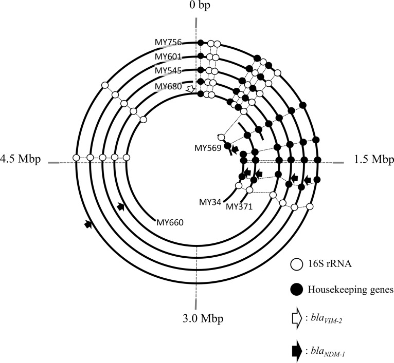 FIG 2