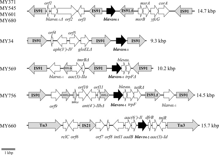 FIG 1