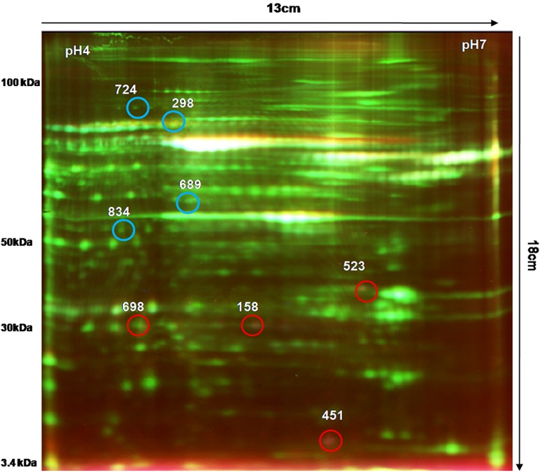 FIGURE 2