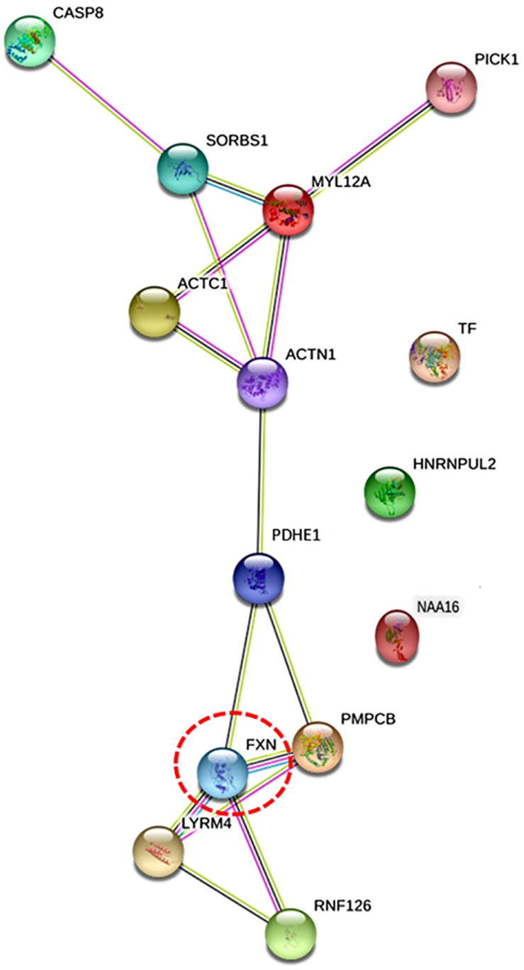 FIGURE 4