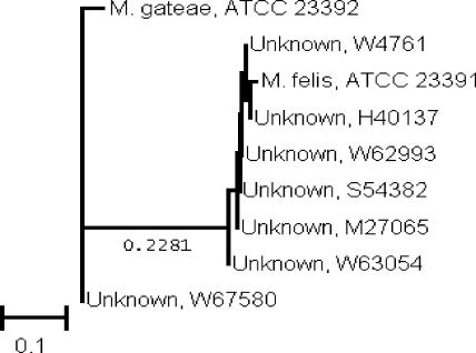 FIG. 2.