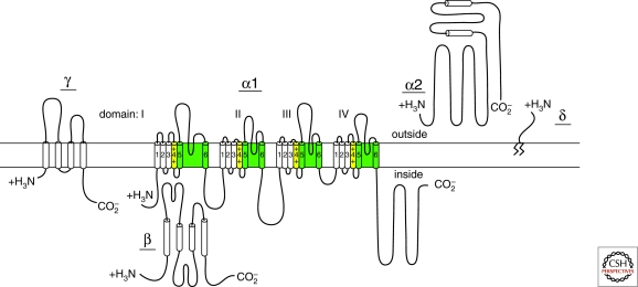 Figure 2.