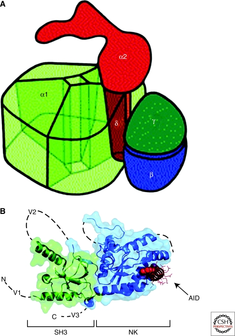 Figure 3.