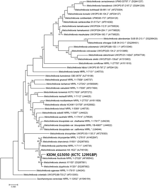 Fig. 8