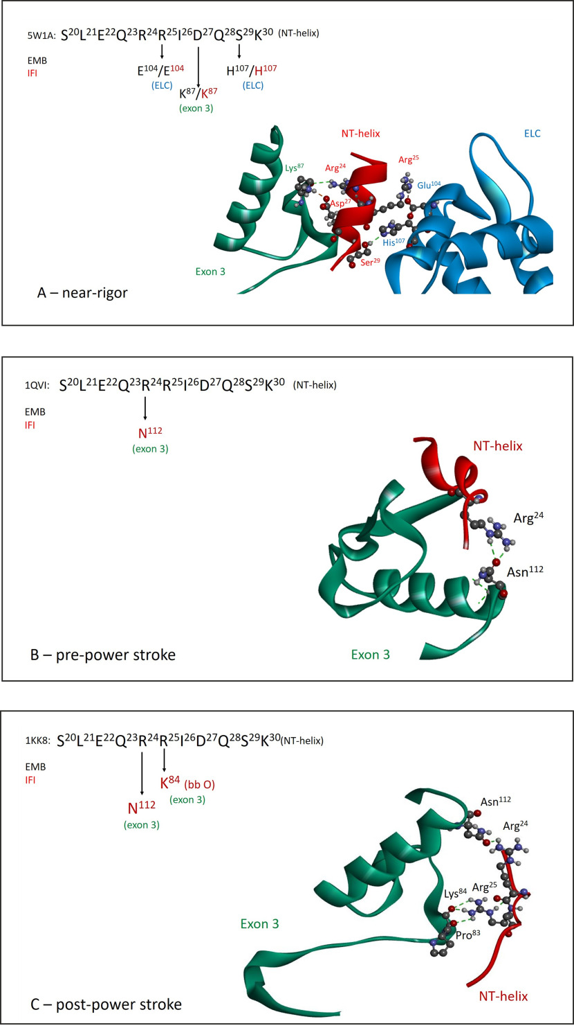 Figure 7.