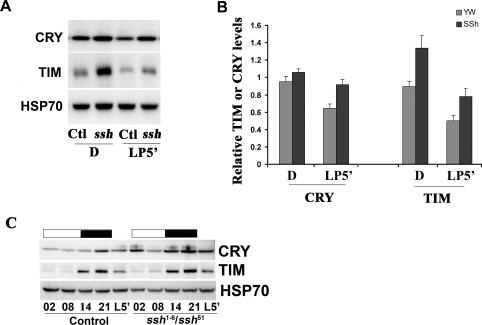 Figure 6.