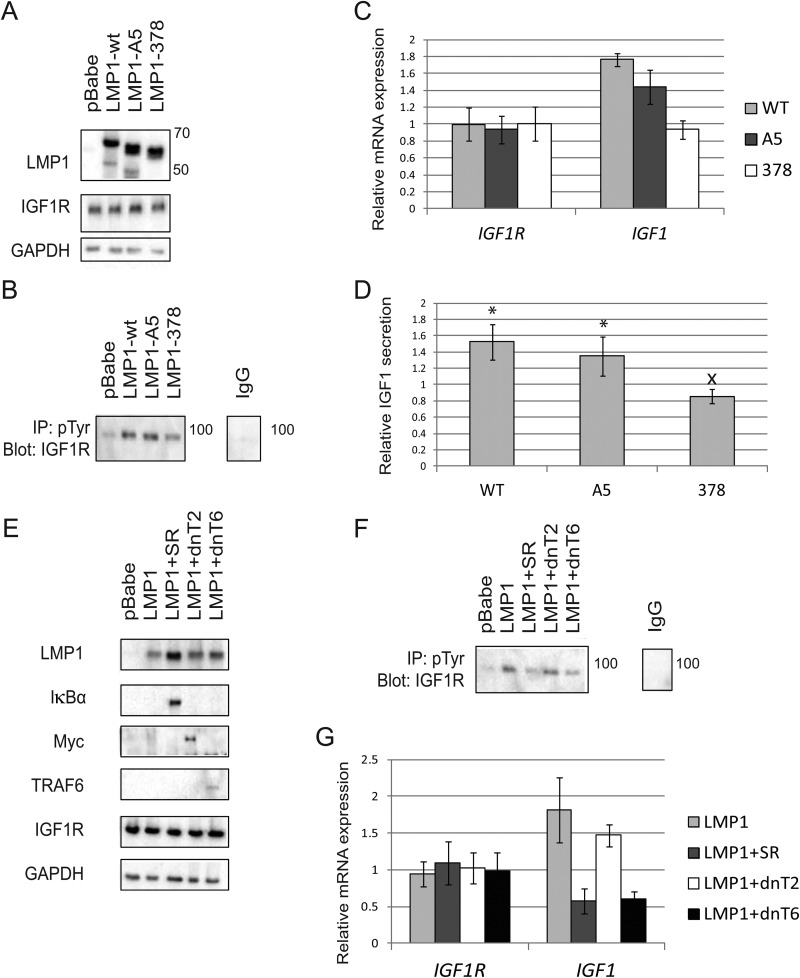 FIG 6