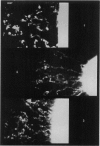 532-1