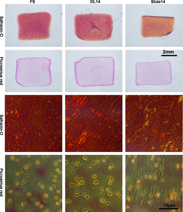 FIG. 4.