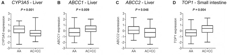 FIGURE 4