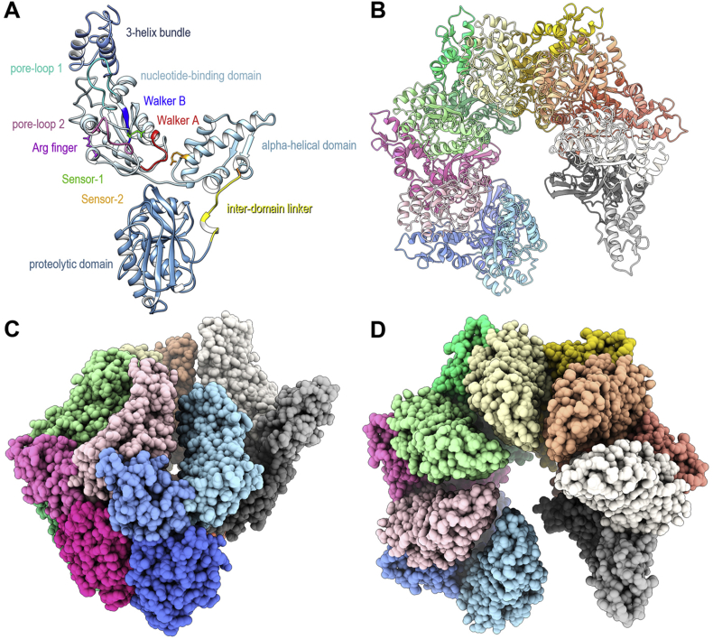 Fig. 3