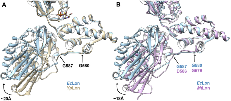 Fig. 6