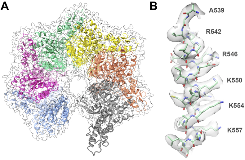 Fig. 4