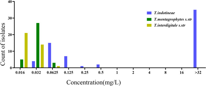 FIG 1