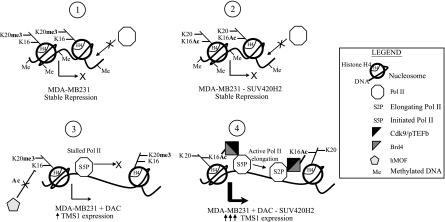 Fig. 9.