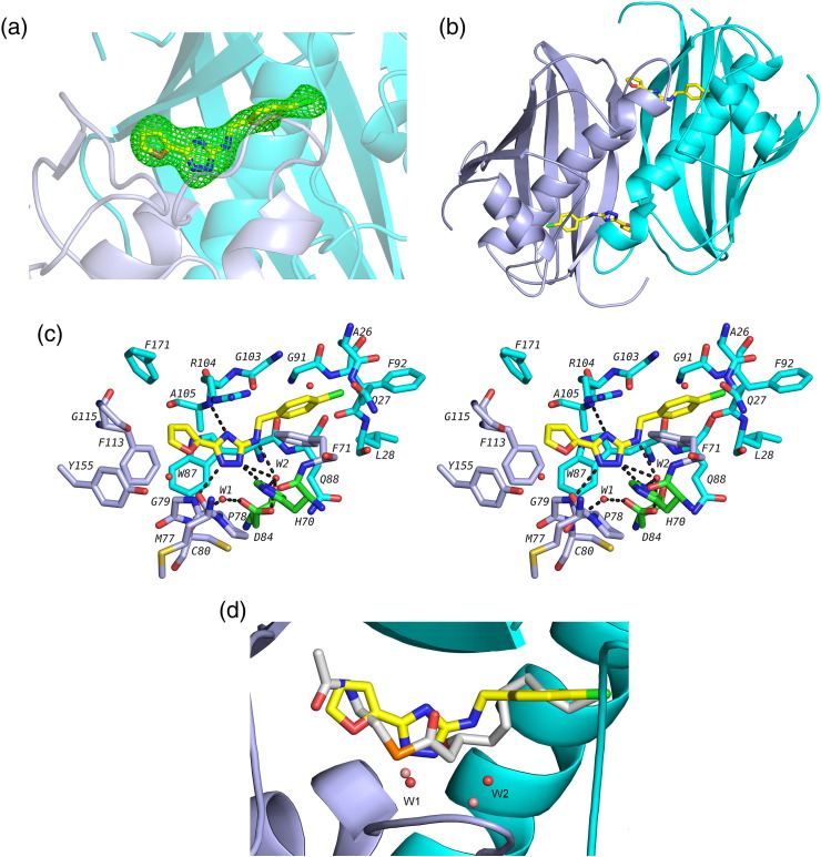 Fig. 6