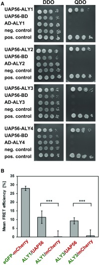 Figure 2.