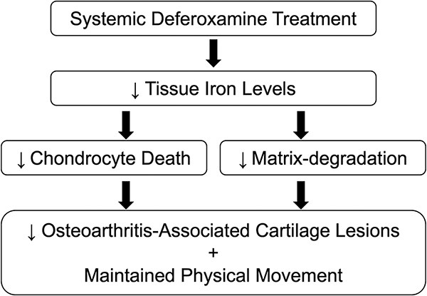 graphic file with name nihms-1766485-f0009.jpg