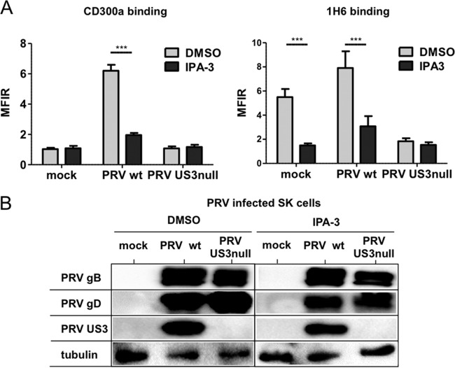 FIG 6