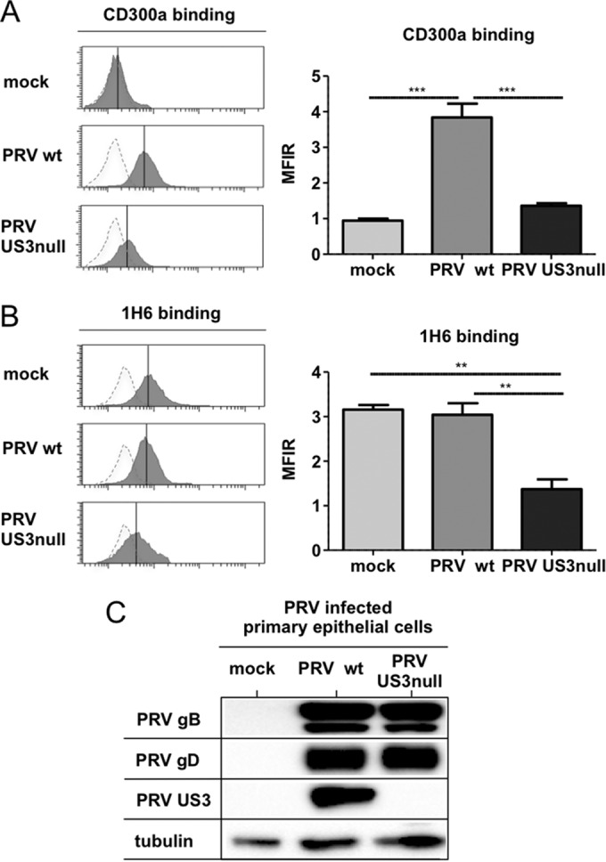 FIG 4