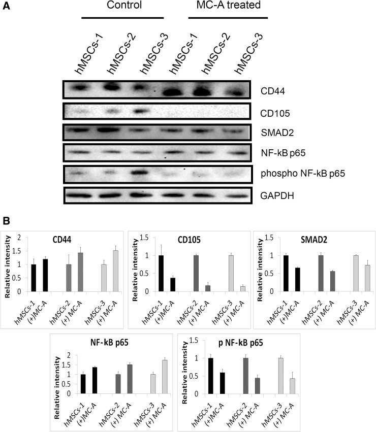 Fig. 4