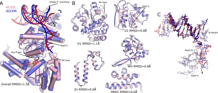 Figure 7.