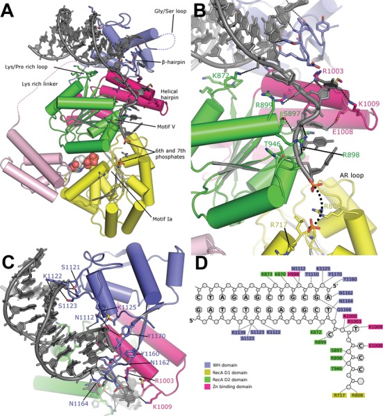 Figure 3.