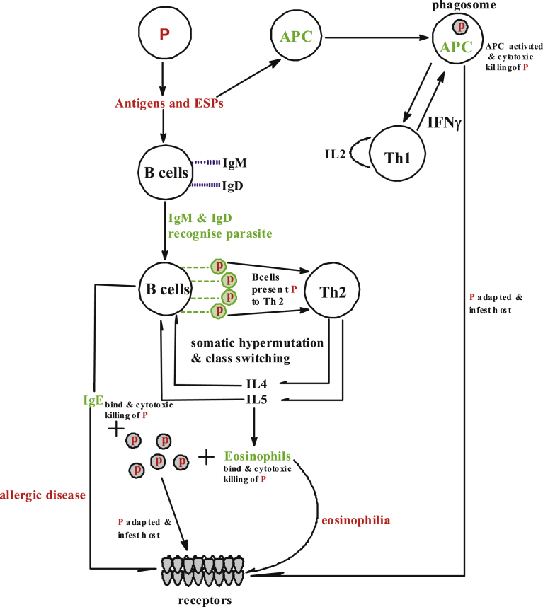 Fig. 2