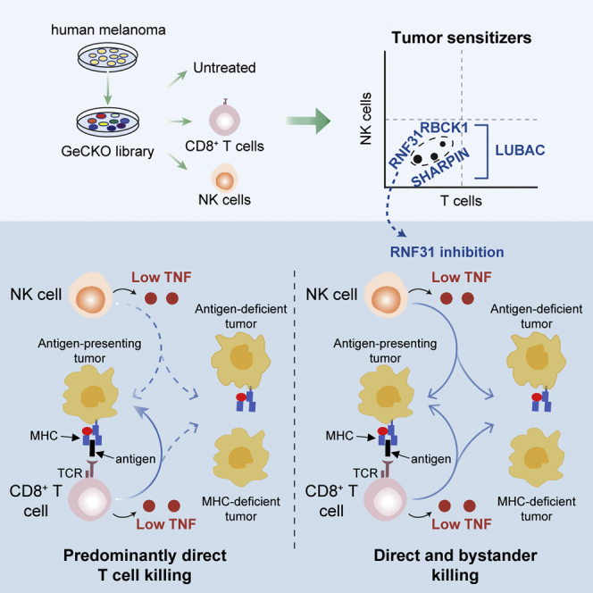 graphic file with name fx1.jpg