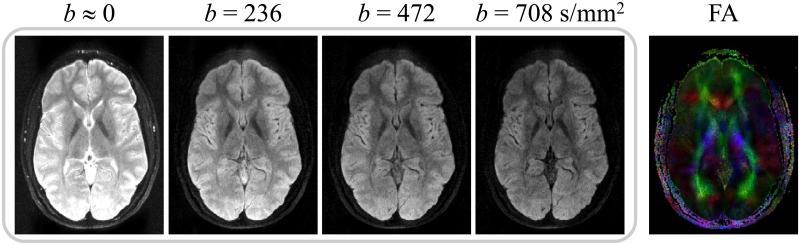 Fig. 10