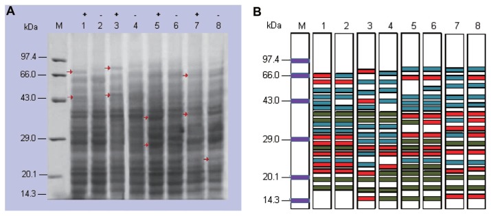 Fig. 6