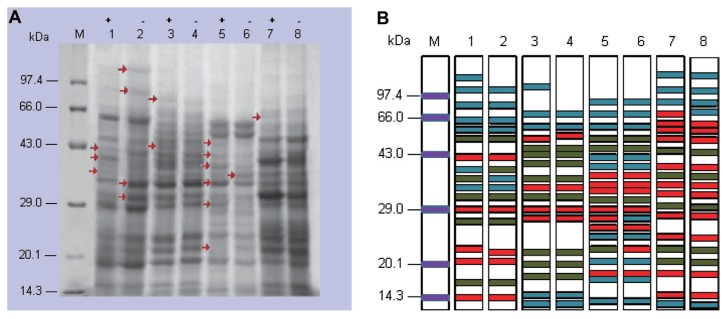 Fig. 7