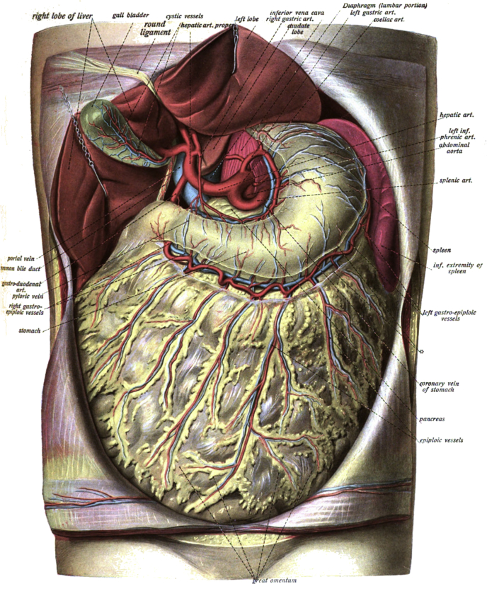 Fig. 1