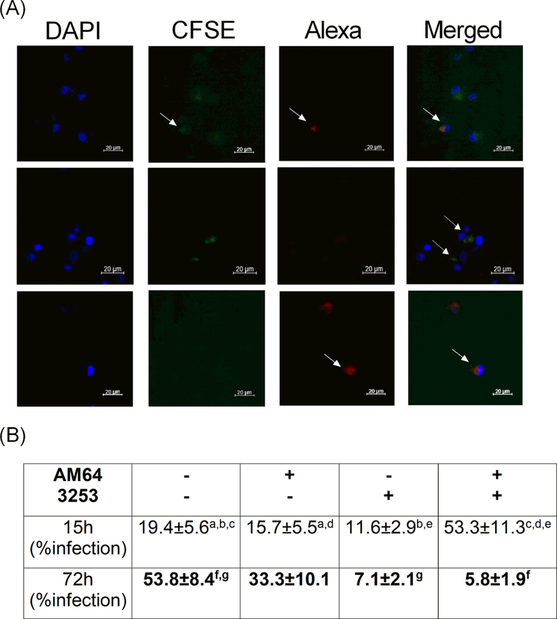 Figure 2: