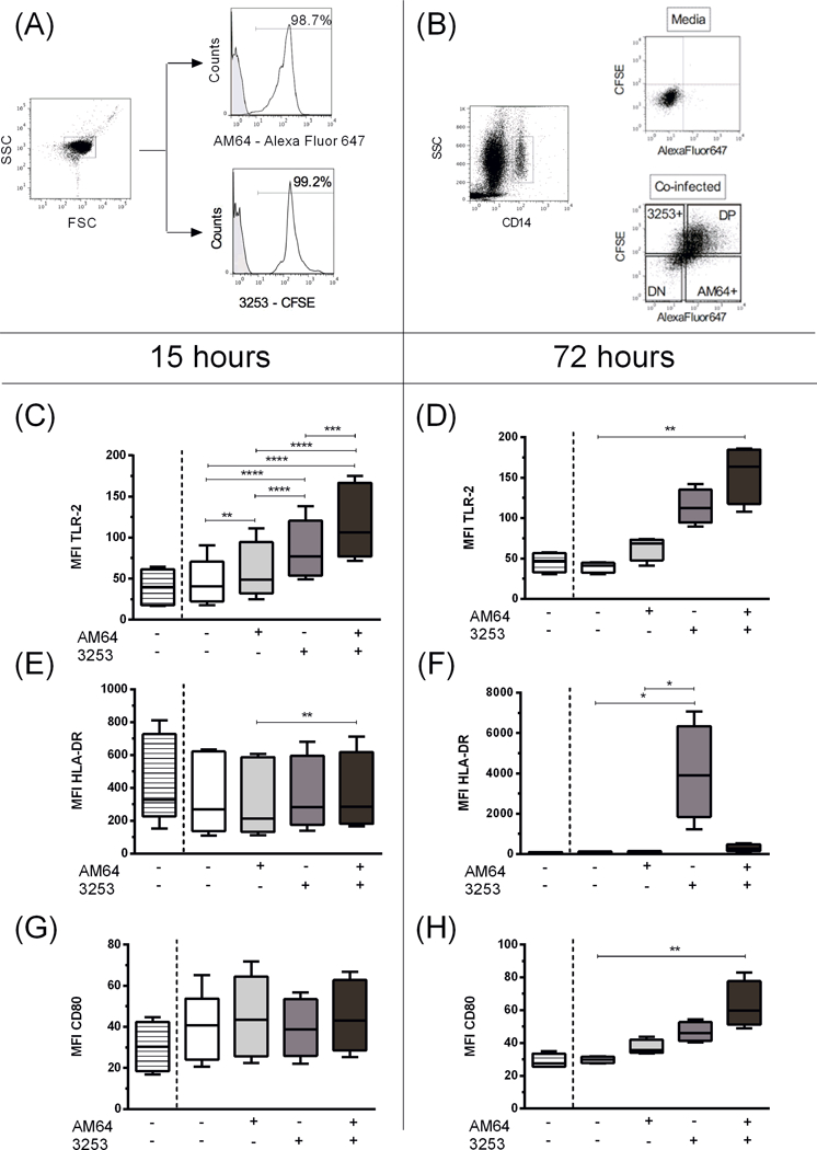 Figure 3: