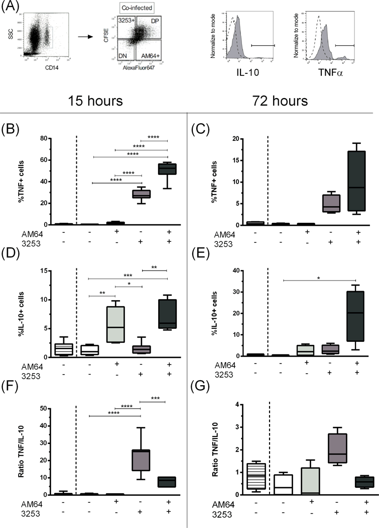 Figure 4: