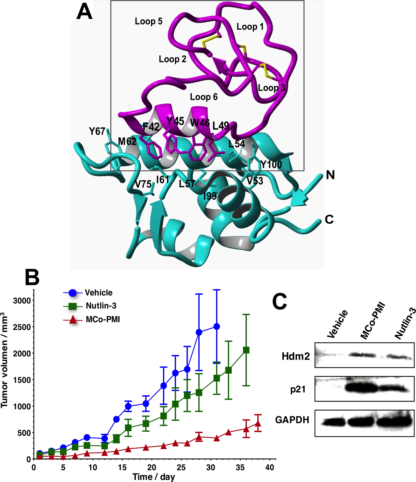 Figure 2.