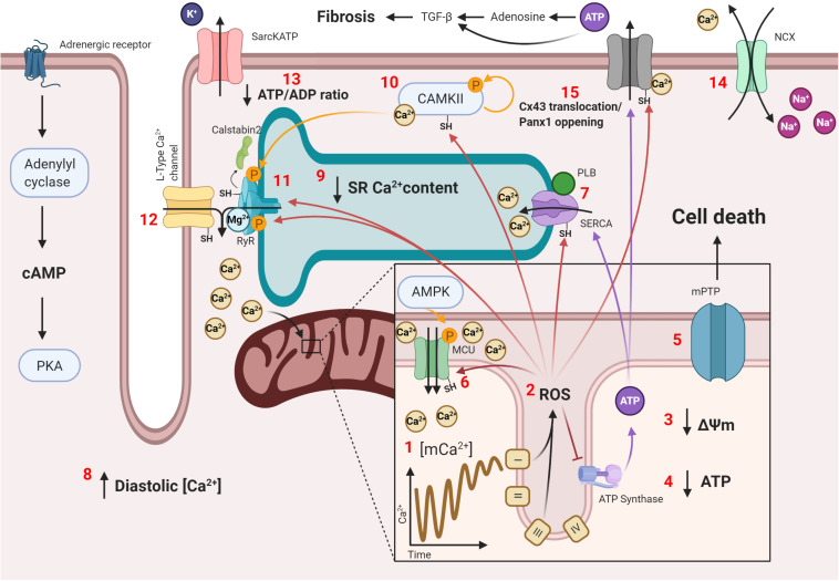 FIGURE 2