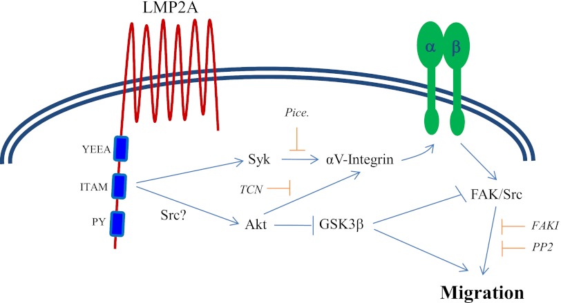 Fig 8