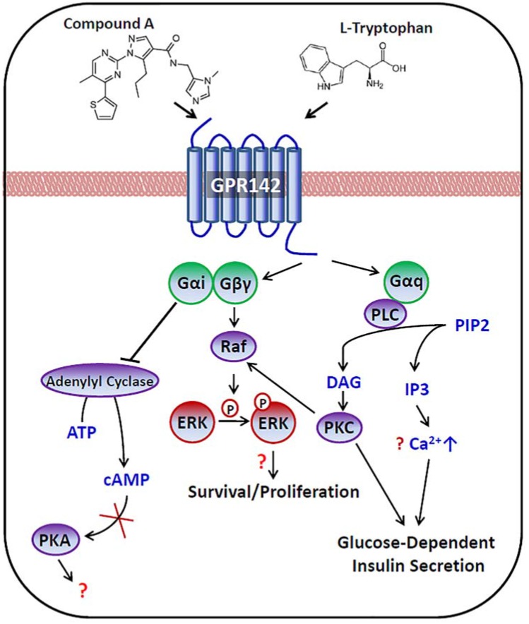 Fig 8