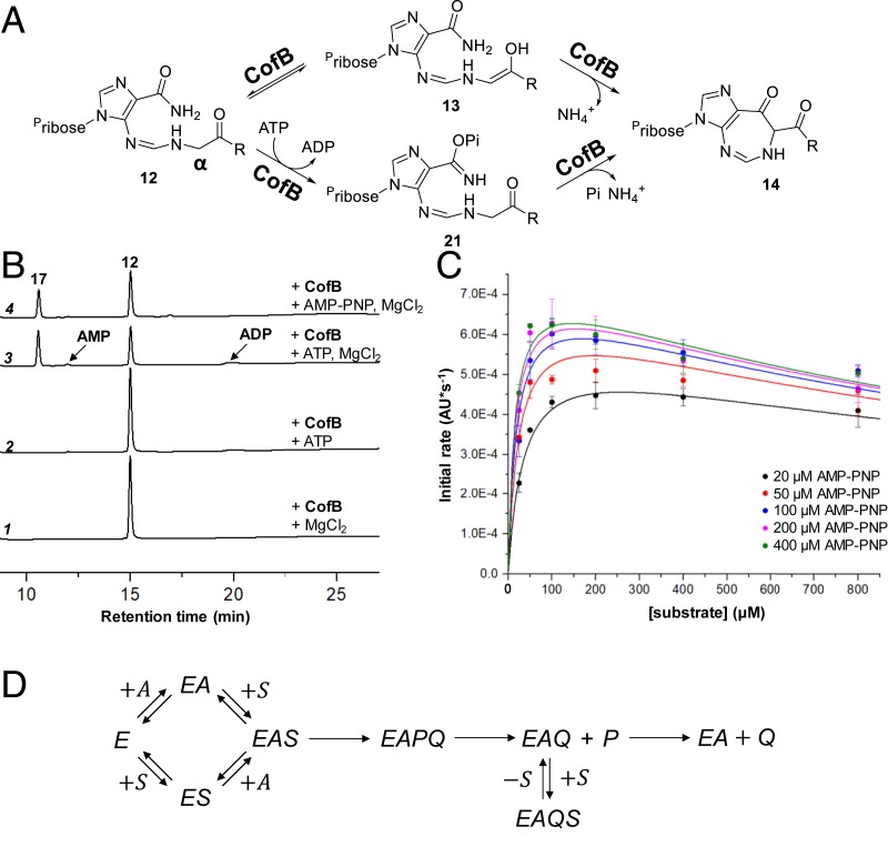 Fig. 4.