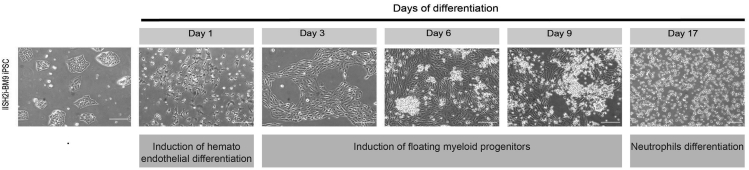 Figure 3