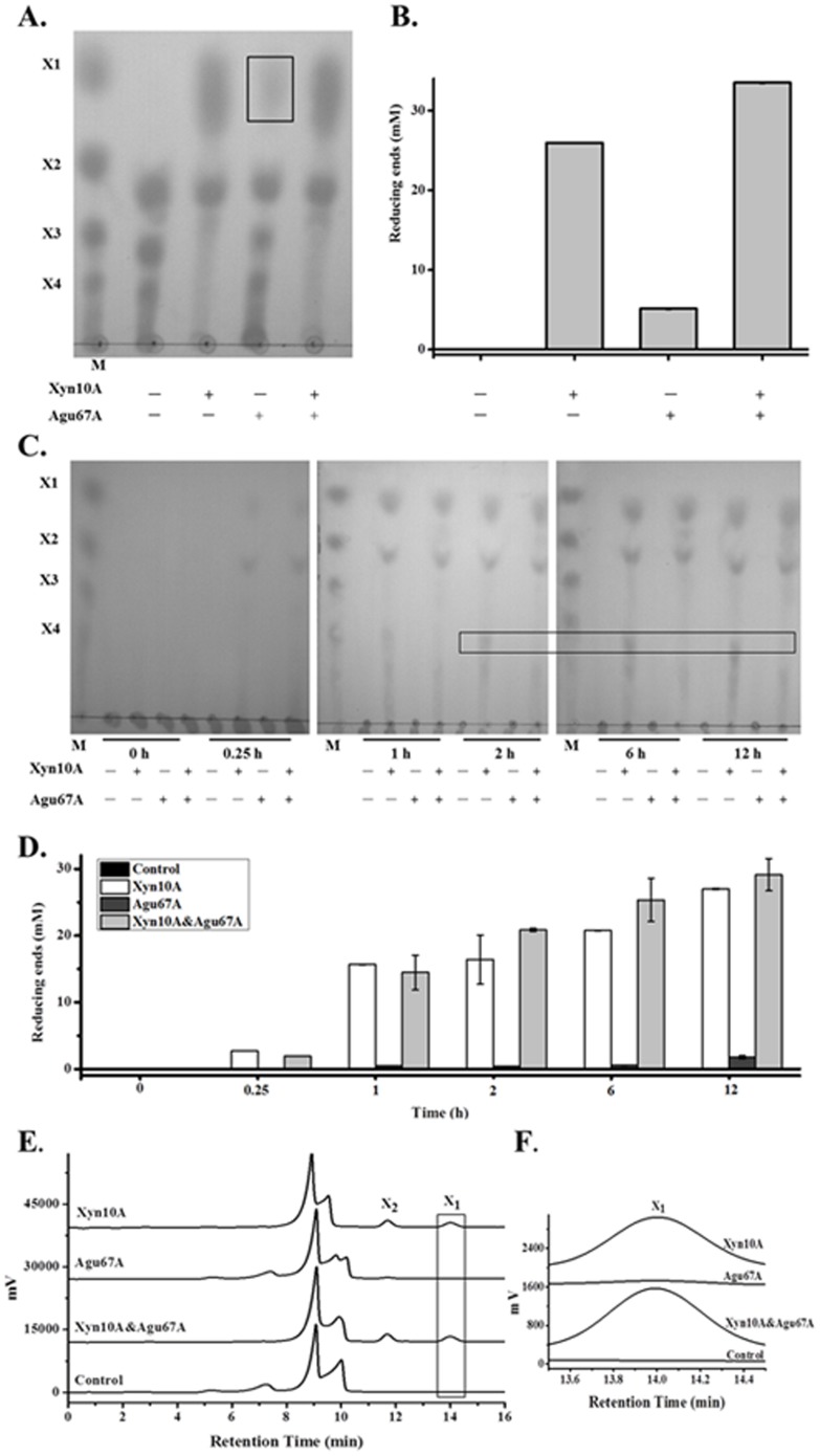 Figure 7