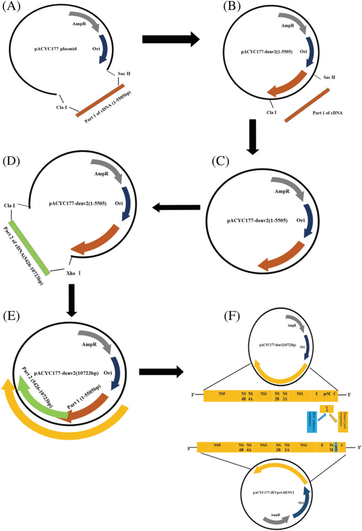 FIGURE 1