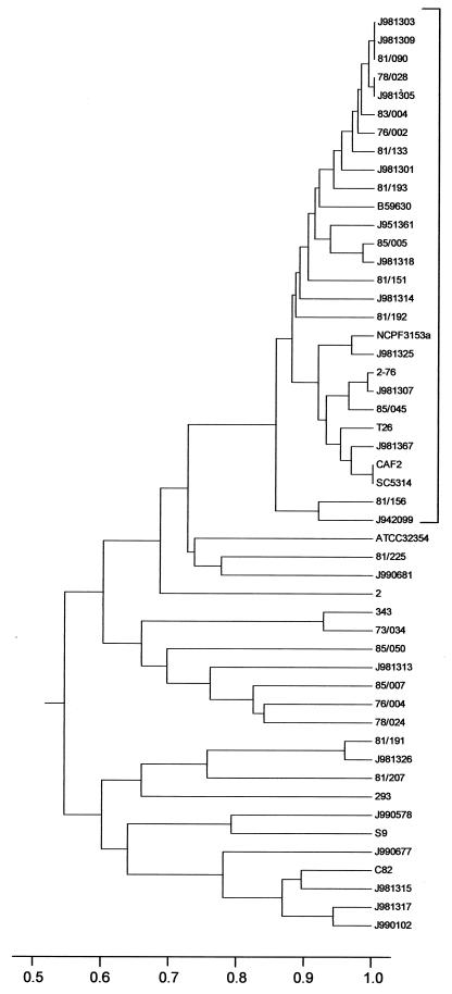 FIG. 3.