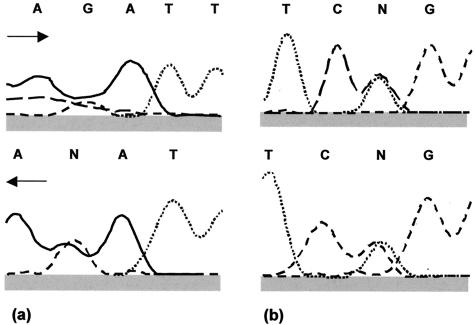 FIG. 1.