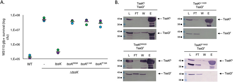 FIG 3