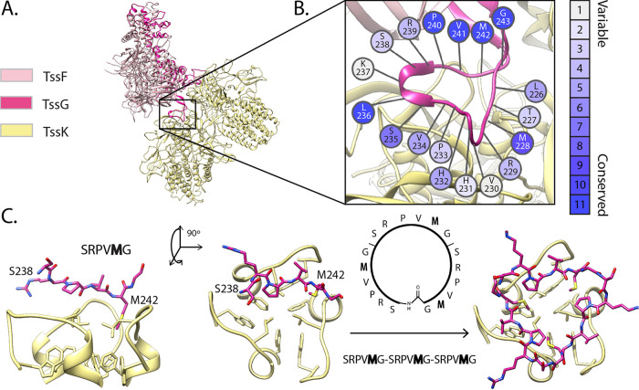 FIG 4